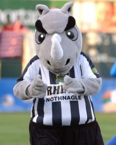 rextherhino_rochester