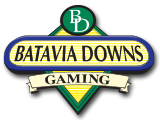 bataviadownsgaming